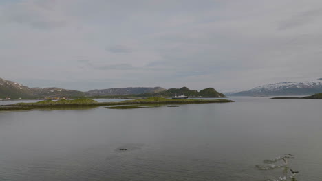 Nature-scene-with-seabirds-in-flight-and-vessel-cruising-on-calm-fjord,-aerial