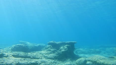 underwater exploring in clear blue waters of kefalonia island in ionian sea, greece