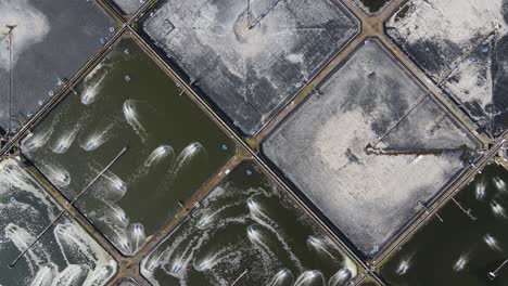 aerial view, captivity or shrimp pond in southern yogyakarta on the coast of samas