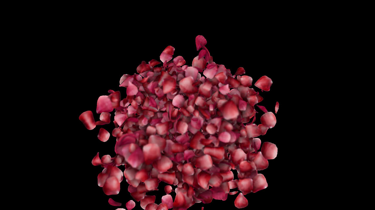 Romantic Rose Petal Burst Motion Graphics