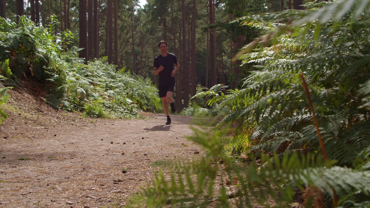 disparo de ángulo bajo de un hombre haciendo ejercicio haciendo trabajo al aire libre corriendo a lo largo de una pista a través del bosque hacia la cámara con ropa deportiva disparado en tiempo real