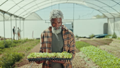 Happy-senior-black-man,-plant