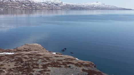 Kayakistas-Que-Viajan-Por-La-Costa-De-La-Península-De-Holmanes-En-Islandia,-Antena