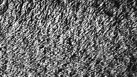 vieja cinta de video vhs con glitch o ruido efecto de parpadeo estático, blanco y negro. animación. señal de televisión vintage analógica, bucle sin costuras, monocromático