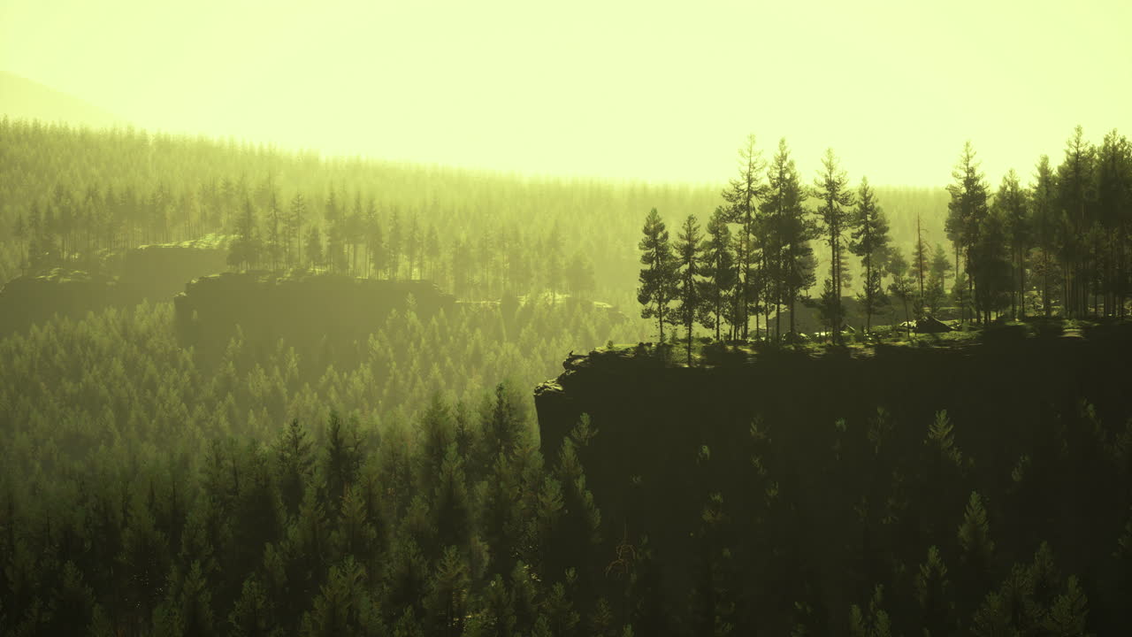 Misty Forest Landscape with Cliffs and Pine Trees