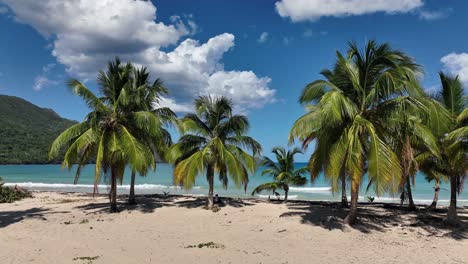 Aerial-Dolly-Links-über-Strand-Mit-Kokosnussbäumen-Enthüllt-Landschaft-An-Sonnigen-Tag