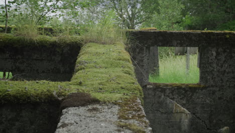 gimbal shot moving along moss-covered ruin wall at coastal battery