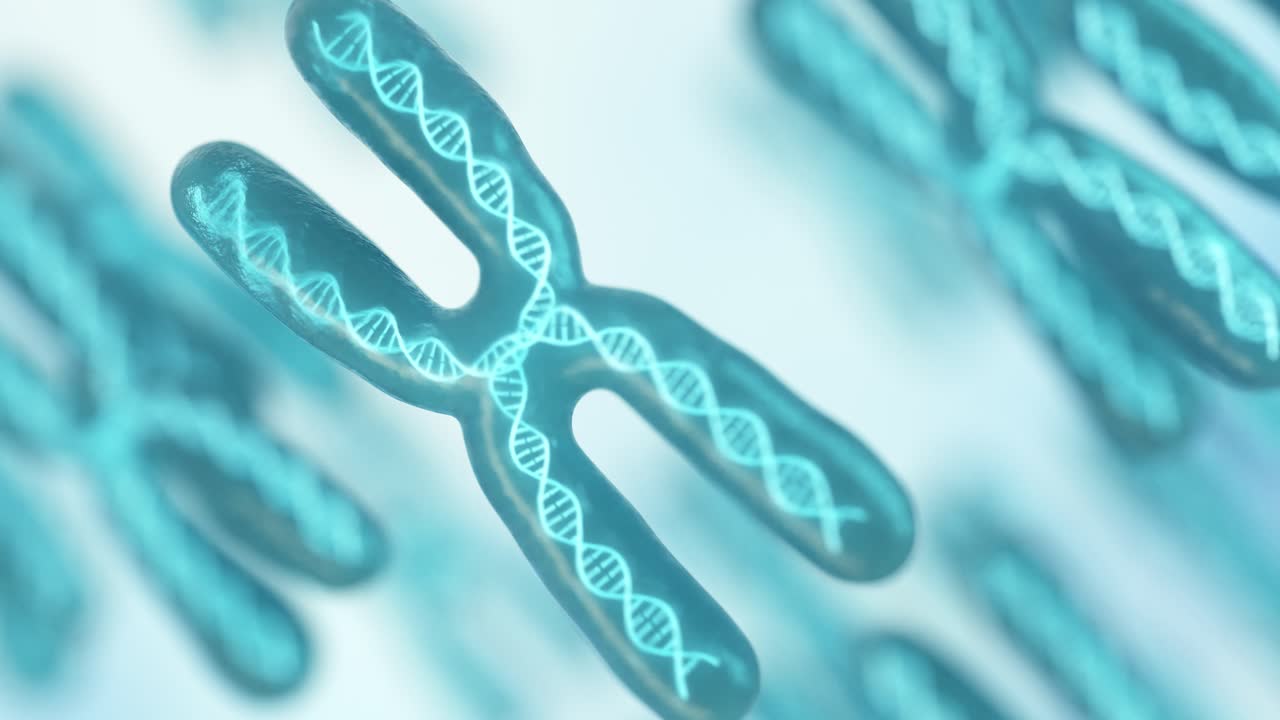 색 배경의 염색체, 3d 렌더링