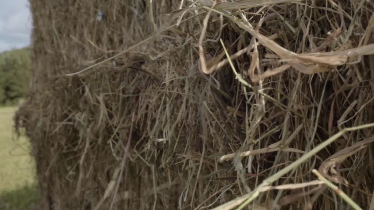 Close up of hay bale in farmers field panning shot