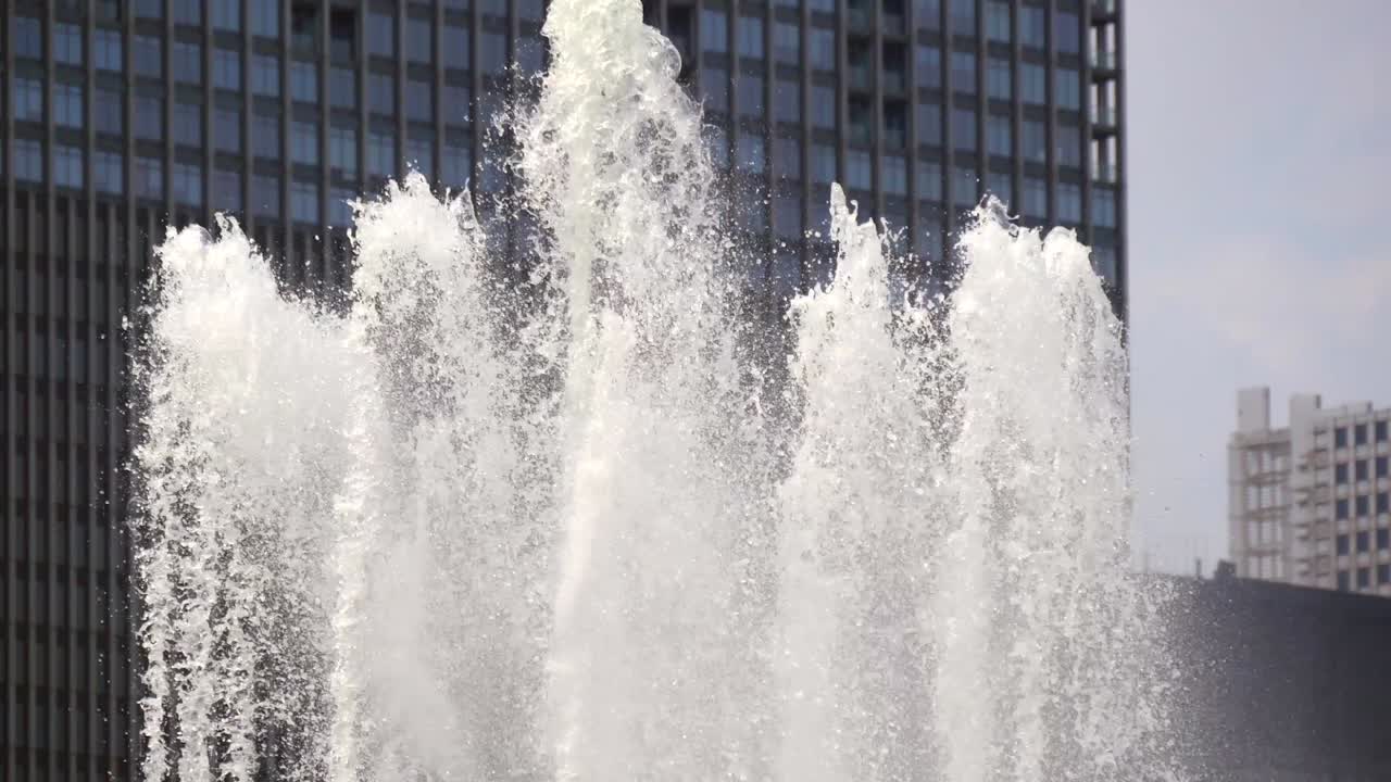 버킹엄 분수 스프레이 시카고