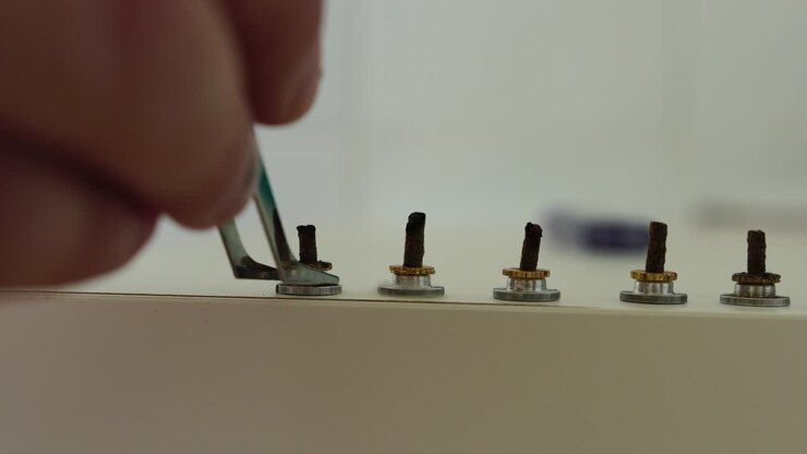 Therapist performing moxibustion procedure at health center. Moxibustion is a thermal effect on biologically active points located across the entire surface of the human body