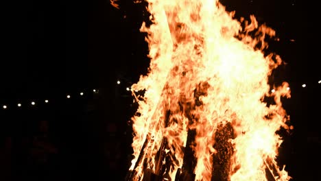 big bonfire burns at night in slow motion on a black background on nature