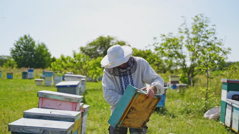 apiarist with wooden box on a bee farm. experienced beekeeper in protective hat working on bee farm in summer. eco honey farming.