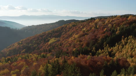 Paso-Elevado-Bajo-Sobre-La-Ladera-De-La-Montaña-Cubierta-De-Hermoso-Bosque-De-Otoño