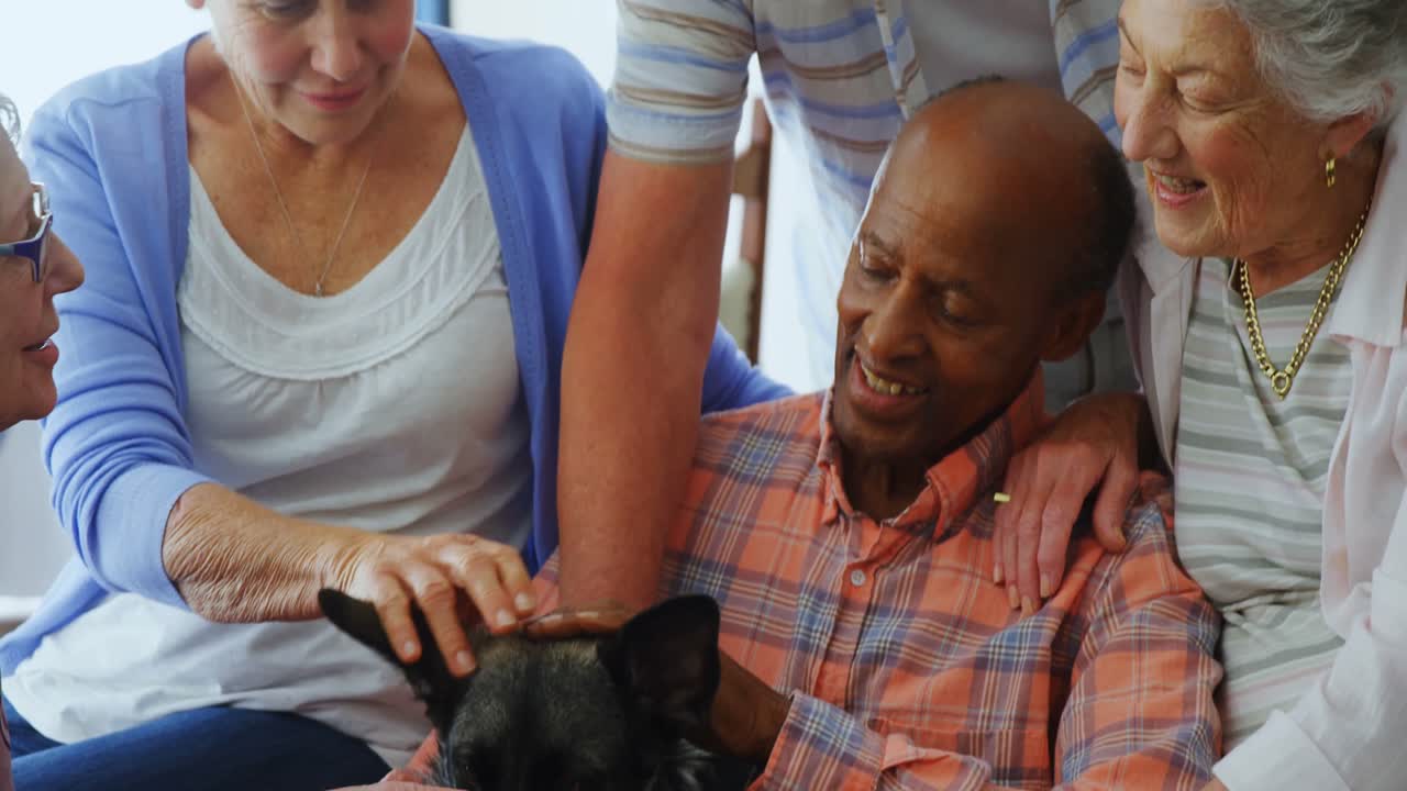 amigos mayores acariciando a un perro en el hogar de jubilados 4k