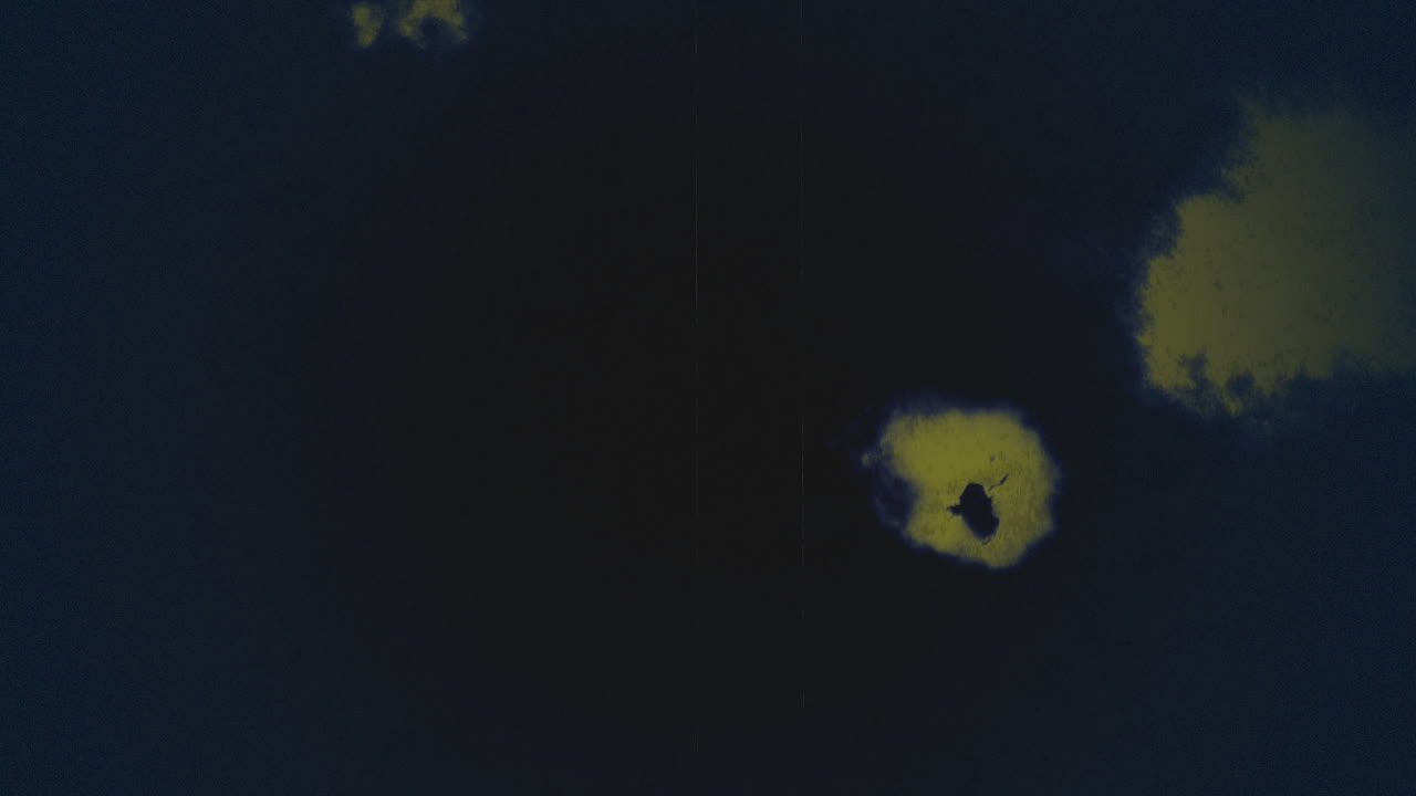 매끄러운 검은 캔버스에 활기찬 노란색 브러시 스트로크