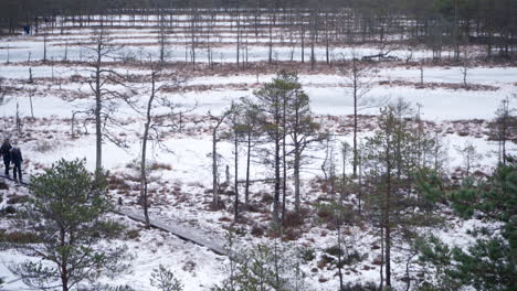 Blick-Auf-Das-Viru-Moor-Vom-Aussichtsturm-Im-Winter