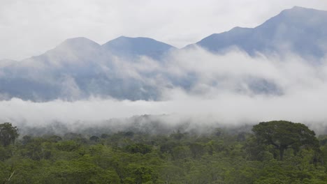 timelapse del bosque nublado en perú