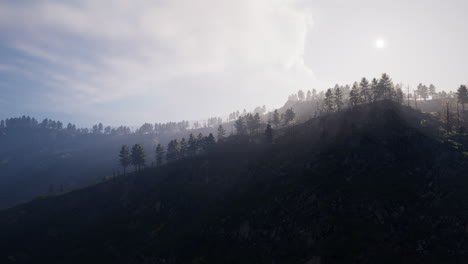 Wald-Aus-Grünen-Kiefern-Am-Berghang