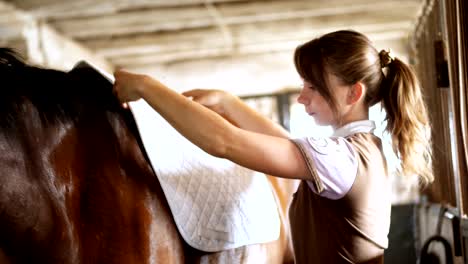 stable, a girl rider in riding clothes sets a backing for a saddle and a saddle for riding, on the back of a brown young handsome horse, a thoroughbred stallion