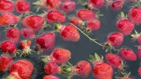 Frische-Natürliche-Rote-Bio-Erdbeere,-Die-Im-Wasser-Schwimmt