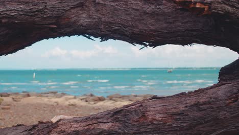 Ein-Wunderschöner-Tropischer-Blauer-Ozean-Hinter-Einem-Felsigen-Strand-Durch-Die-Spalte-Eines-Toten,-Verrottenden-Baumzweigs-Unter-Einem-Sonnigen,-Warmen-Himmel