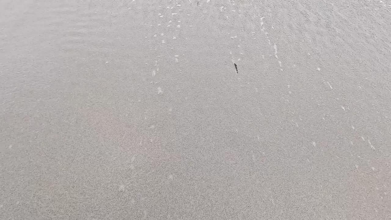 las olas se acercan suavemente a la orilla arenosa