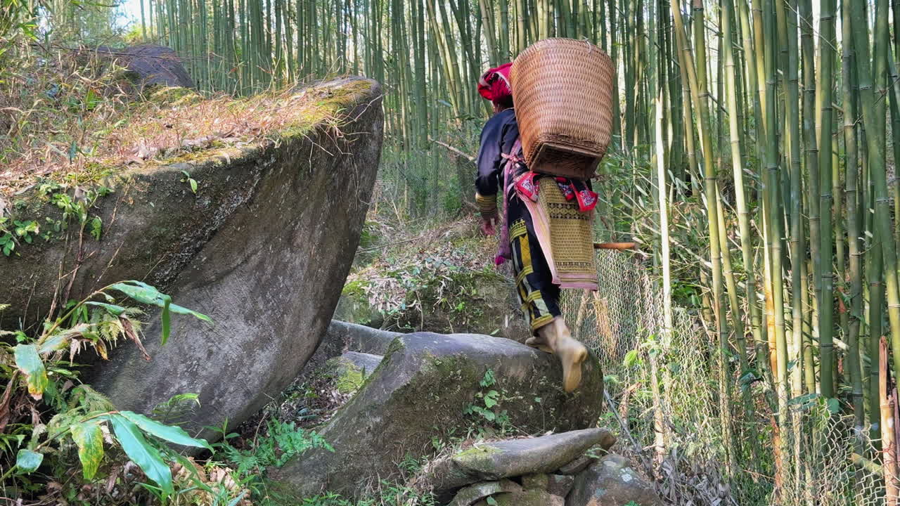 A female member of the Black Dao community navigates a rocky path in Sa Pa, gathering various herbal plants with machete and basket on her back