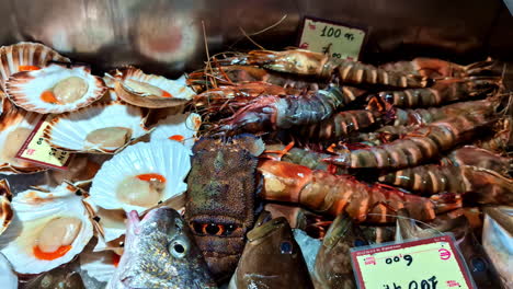 clams, prawns, shrimp, squid, and fish at a fresh, raw, seafood market - close up pullback reveal