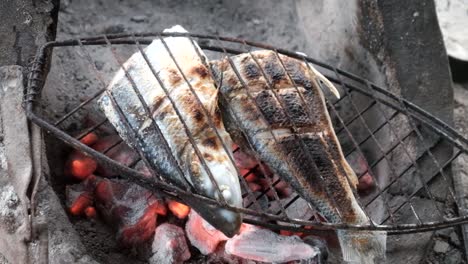 Fischgrill-Grill-Bbq-Klemme-Holzkohle-Steinofen-In-Der-Provinz-Der-Philippinen