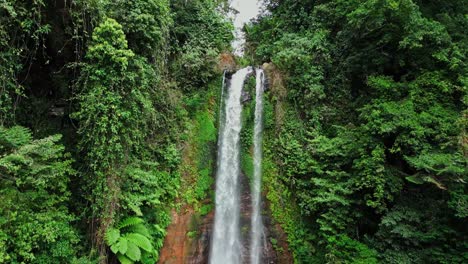 closer drone view of gitgit waterfall in bali, pouring down between dense green trees and tropical vegetation. a powerful yet peaceful natural scene deep in the island’s jungle landscape