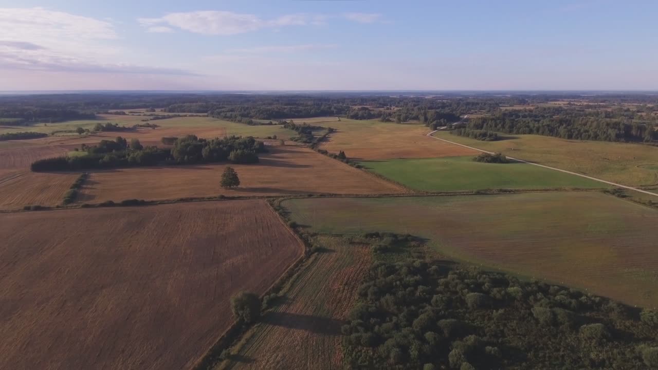 Trees And Shrubs In The Fields On A Sunny Summer Morning. Aerial Arc Track Right