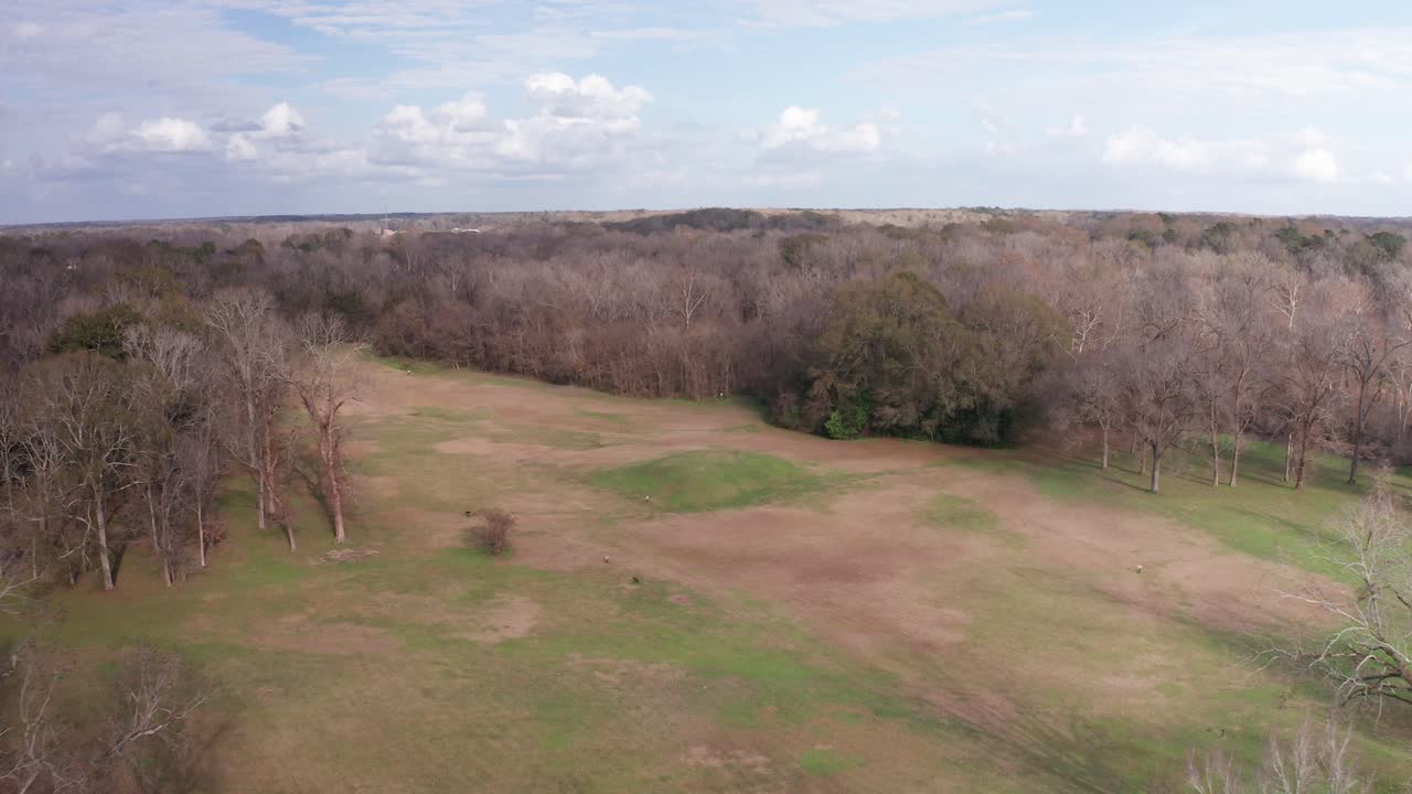 미시시피에 있는 나체즈의 대마을의 고고학적 잔재의 하강하는 근접 항공 샷