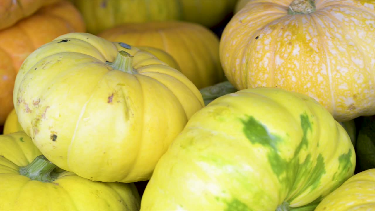 calabacines y calabazas a la venta en el mercado libre, plano panorámico