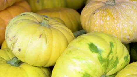 Zucchini-Und-Kürbis-Zum-Verkauf-Auf-Dem-Freien-Markt,-Panoramaplan