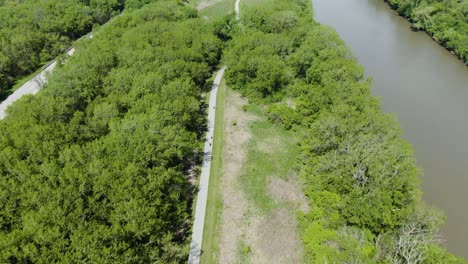 Vogelperspektive-über-Mehrere-Radfahrer-Auf-Einem-Radweg-Im-Wald