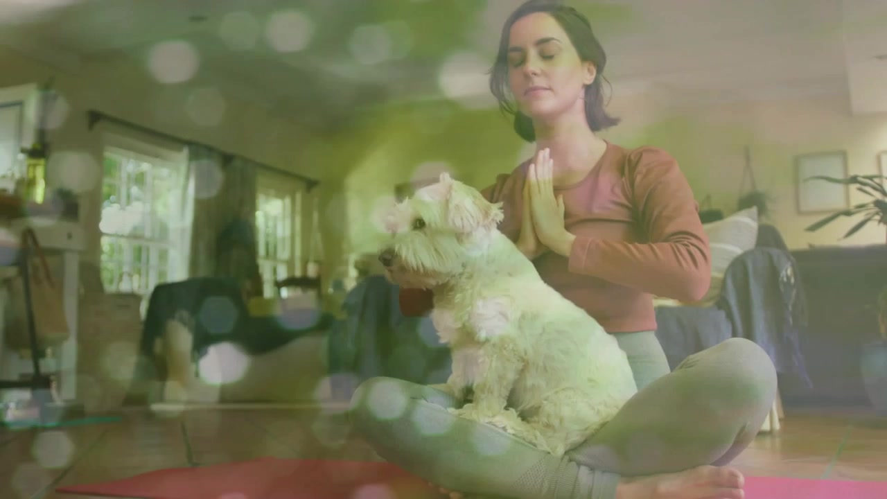 Vídeo vertical: Levantando as mãos, mulher de rosa meditando em um tapete vermelho em casa, acalmando um cachorro fofo.