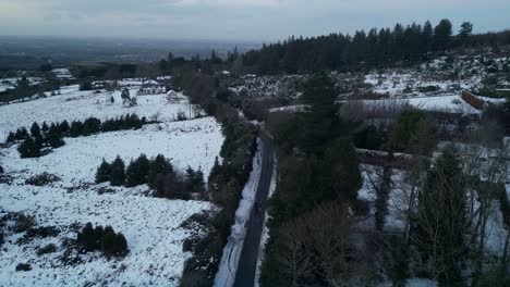 two people walking in the middle of a mountain road surrounded by pine trees and covered with snow exploring the area during a snow storm in dublin mountains - ireland