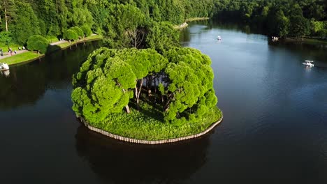 park lake with island of trees