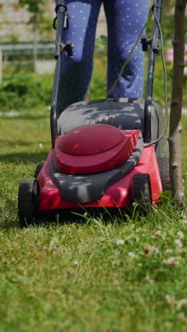 farmer woman mowing lawn in residential back garden.. vertical video