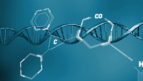 animation of dna strand and data processing