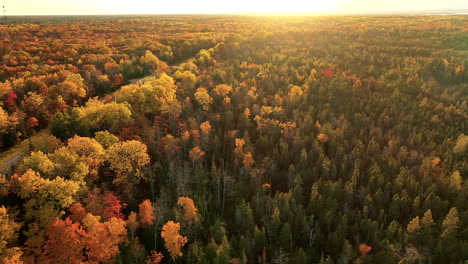 Drohnenaufnahmen-Sonnenuntergang-über-Herbstbedecktem-Wald