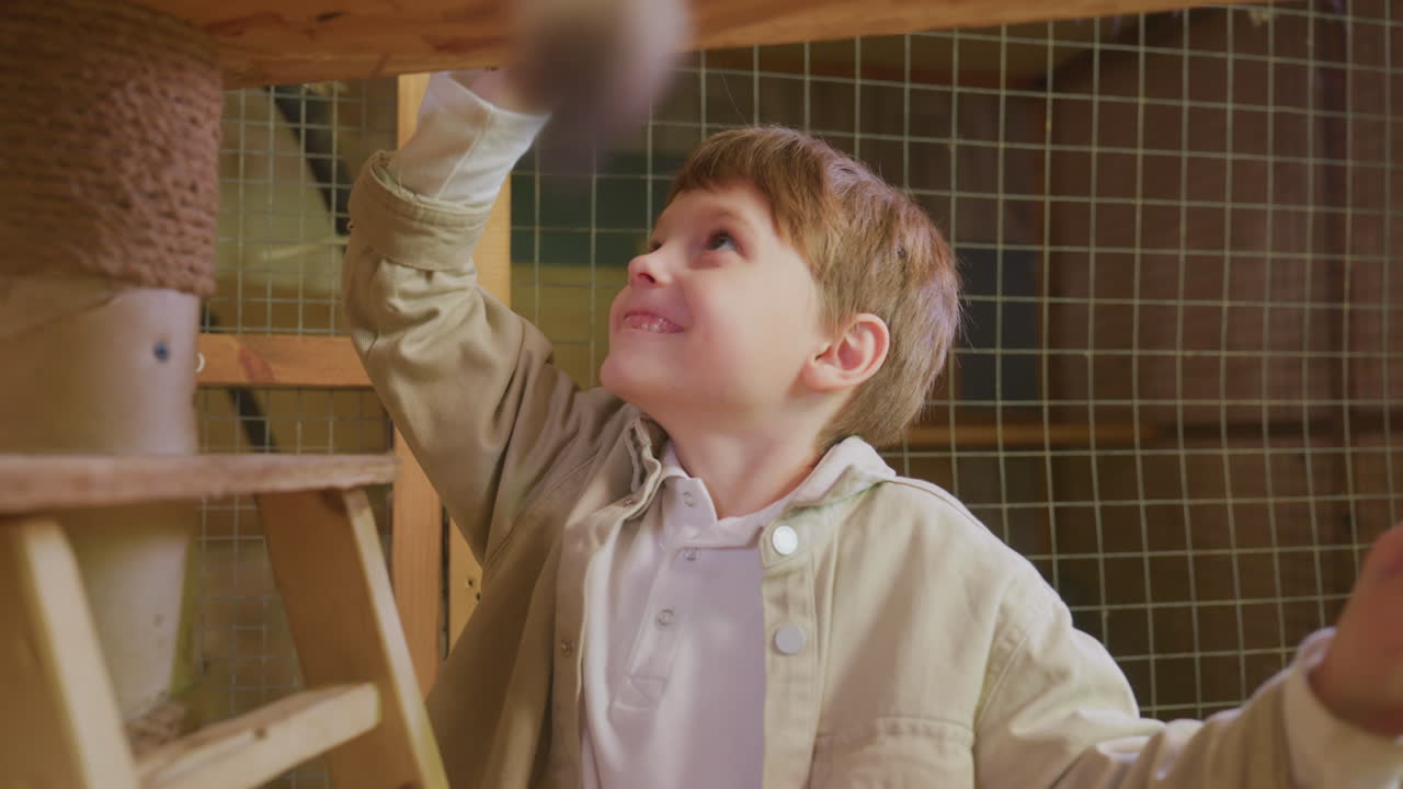 ragazzo caucasico che cerca di raggiungere un gatto su una torre di legno all'interno di un rifugio per animali luminoso, espressione gioiosa e tocco delicato, pali e piattaforme in corda grezza, movimento giocoso della coda, illuminazione calda e soffusa, tattile