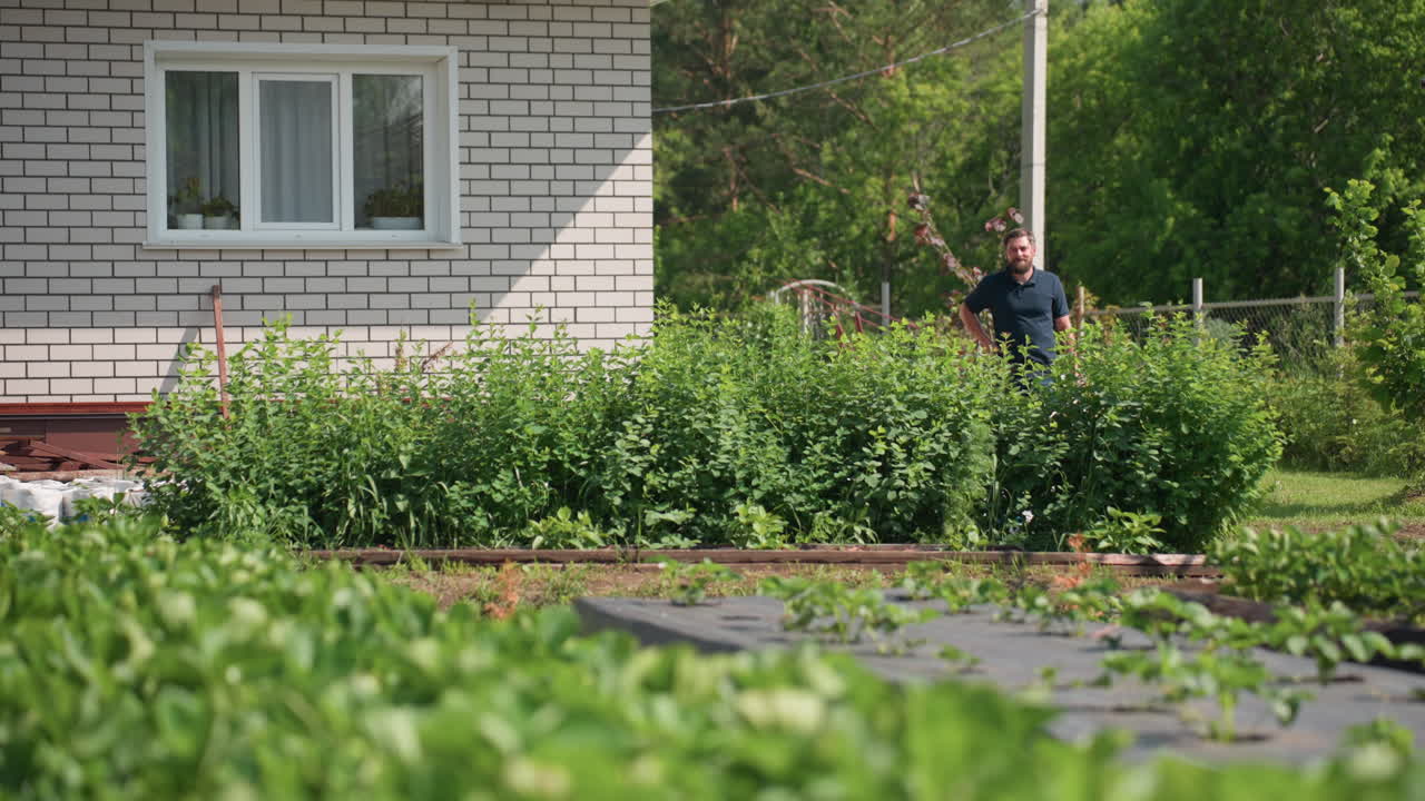 Young man with hand on waist inspects farm while leaves sway in wind, green vegetable beds in foreground, brick house and metal frame visible