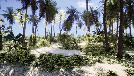 playa tropical con palma de coco