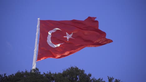 Türkische-Flagge-Durch-Die-Bäume-Sichtbar.