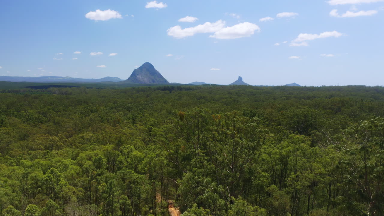 Aerial 4K Drone Over Trees Reveals Green Countryside And Glasshouse Mountains View In Distance
