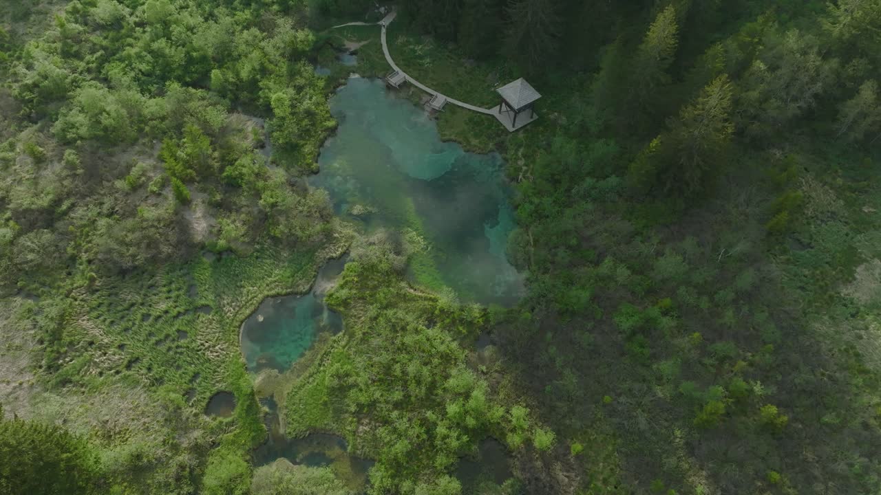 Vista dall'alto di zone umide montane con passerelle nella Riserva Naturale di Zelenci, Kranjska Gora, Slovenia
