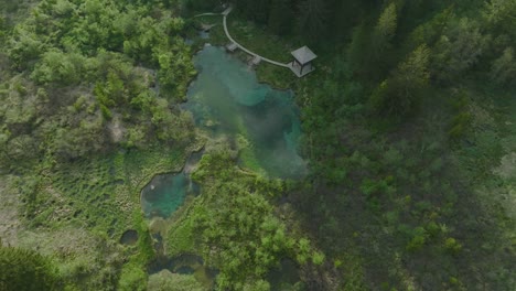 Blick-Von-Oben-Auf-Ein-Bergfeuchtgebiet-Mit-Promenaden-Im-Naturschutzgebiet-Zelenci,-Kranjska-Gora,-Slowenien