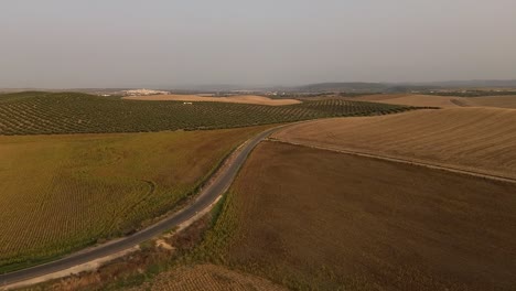 Luftaufnahme-Von-Andalusischem-Ackerland-Mit-Olivenbäumen-Und-Getreide-Bei-Sonnenaufgang-über-Einer-Straße